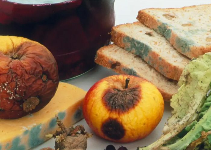 過期食品處理銷毀公司